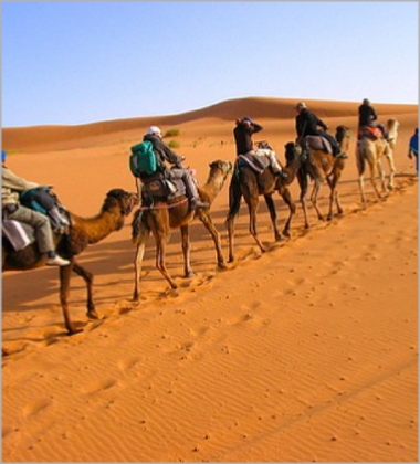 Tour from Casablanca