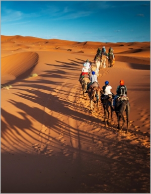 Tours from Casablanca