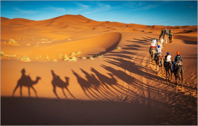 Combined Atlas and Sahara Tour
