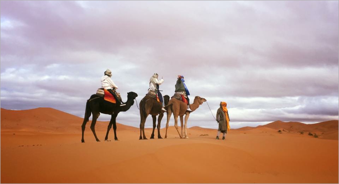 Desert activities Desert activities