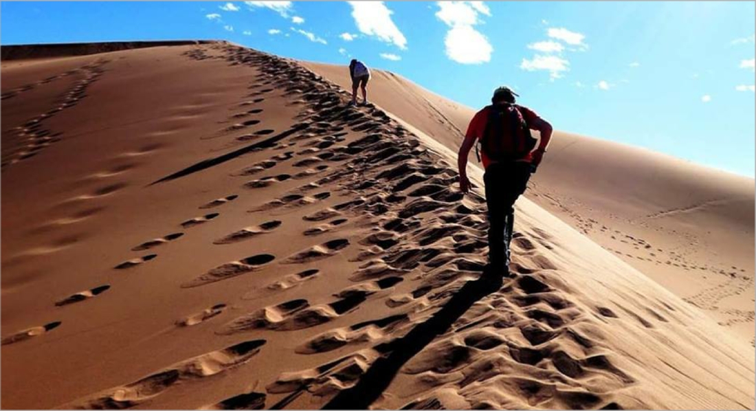 Desert activities Desert activities