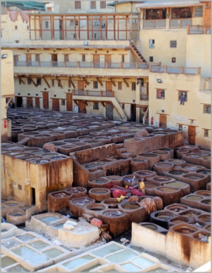 Day Trips from Fes