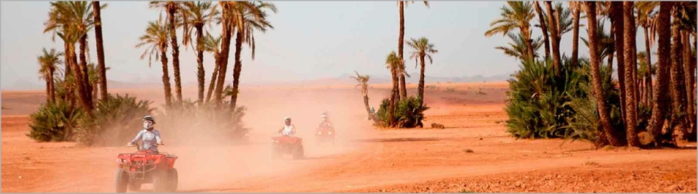 Activities in Marrakech