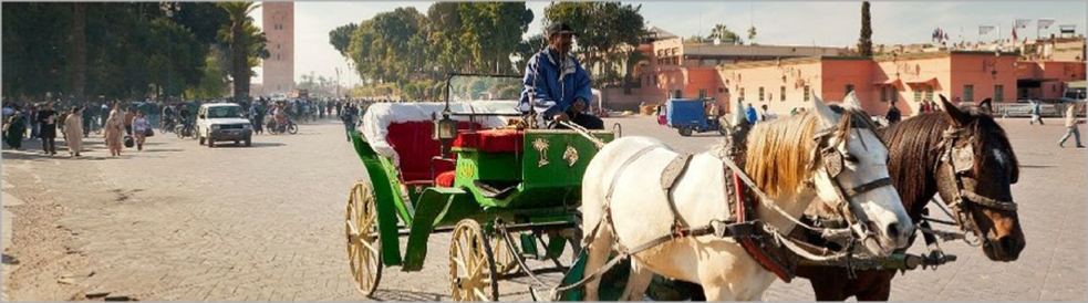 Activities in Marrakech