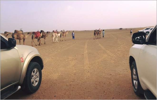 Tour from Marrakech