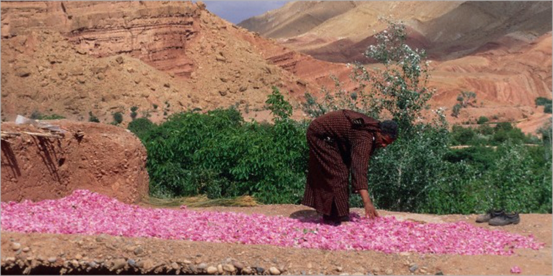 Tour from Marrakech to Desert (Morocco)