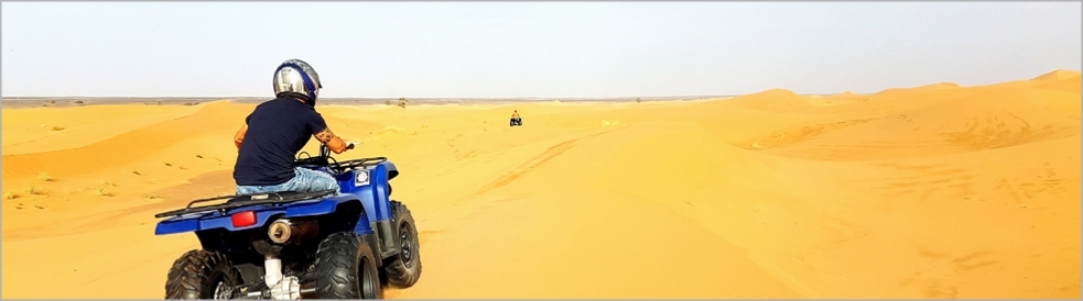 Desert Activities